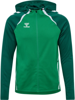 Kinder Hummel Lead 2.0 Kapuzen Trainingsjacke - Jelly bean/Evergreen